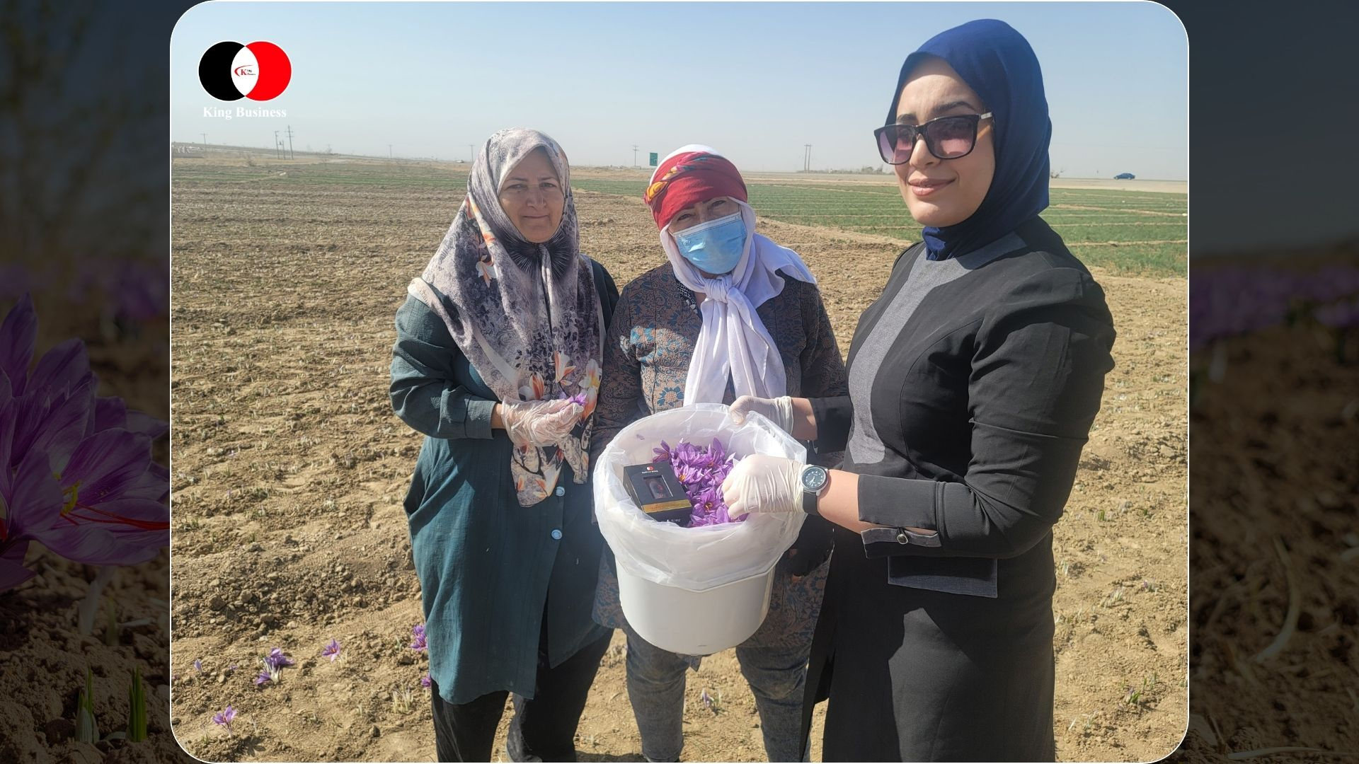 Frauen zupfen frisch geerntete Safranfäden aus Krokusblüten, typische Erntearbeit für Safran aus Afghanistan